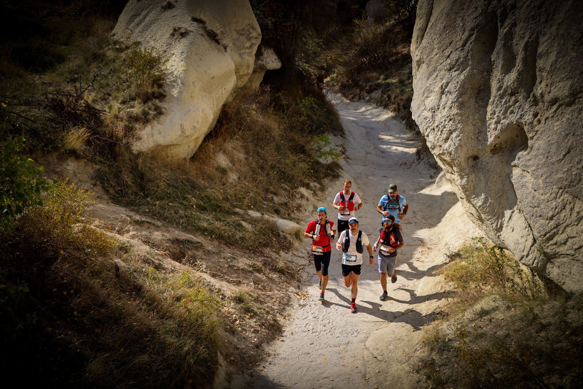 Group of trail runners